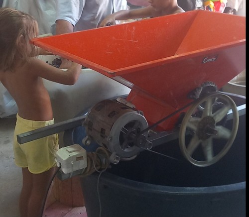 Pigiatrice sia manuale che - sia,